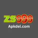 zs 999 game